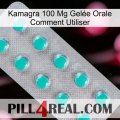 Kamagra 100 Mg Gelée Orale Comment Utiliser 28